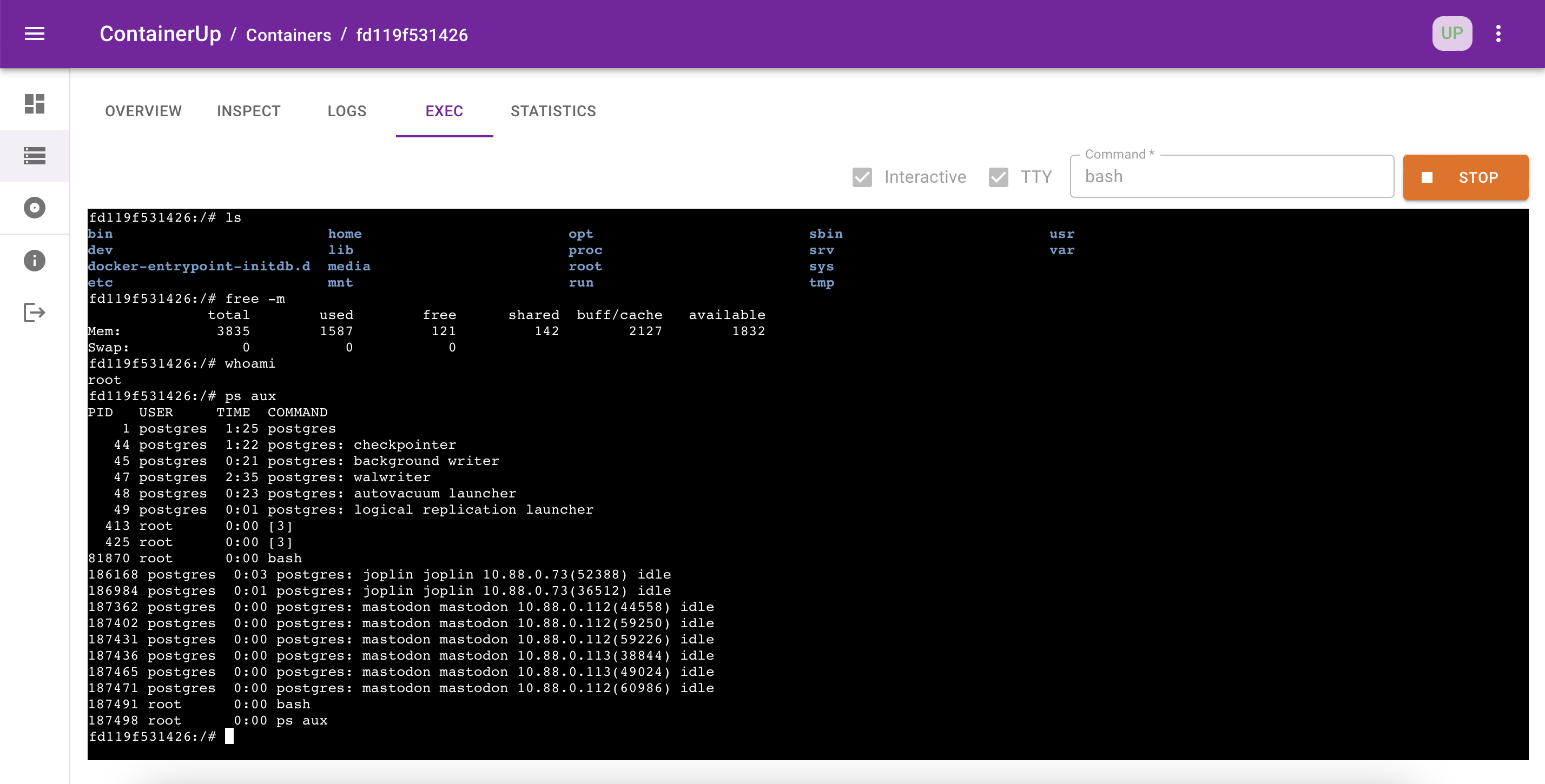 Screenshot of container exec page